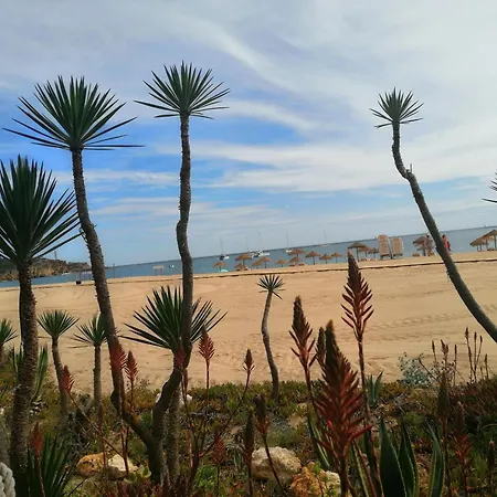 Ocean Terraces Gaivota I Διαμέρισμα *