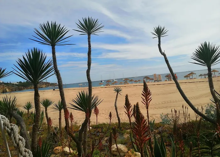 Ocean Terraces Gaivota I Apartman *