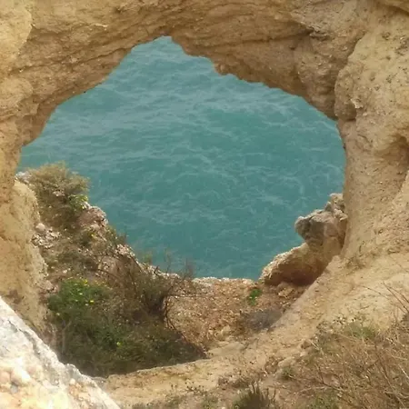 Ocean Terraces Gaivota I 아파트