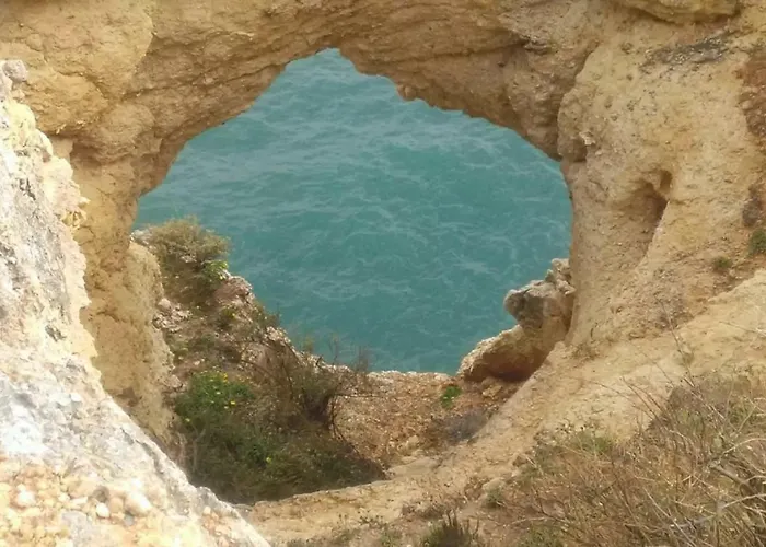 Ocean Terraces Gaivota I Appartement